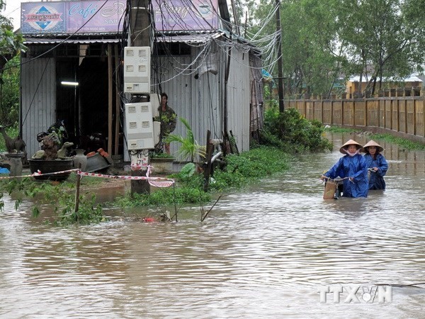 Международные спонсоры пообещали оказать Вьетнаму помощь в борьбе с изменением климата - ảnh 1